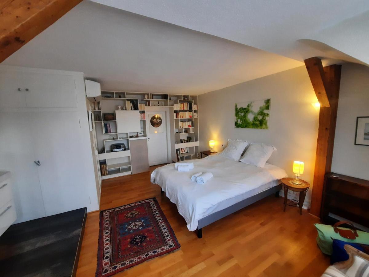 145M² City Center 4 Bedrooms View Of The Cathedral Straßburg Exterior foto